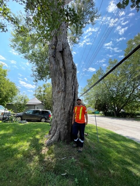 man in orange shirt standing in front of tree