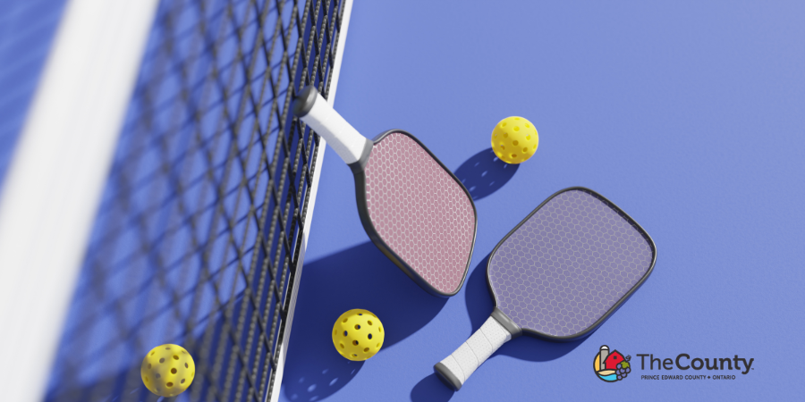 Public Information Centre for Delhi Park Pickleball Courts