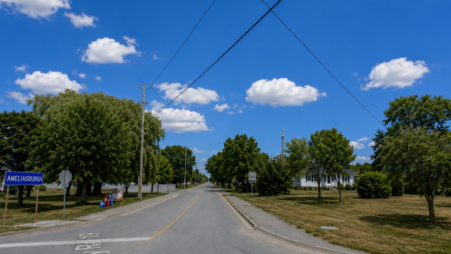 View from County Road 19 and Whitney Road